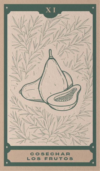 Mentoría "Cosechar los frutos"
