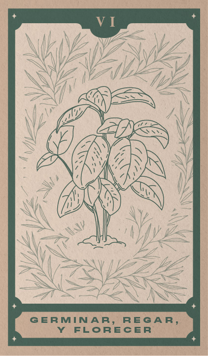 Mentorías: Germinar, regar y florecer